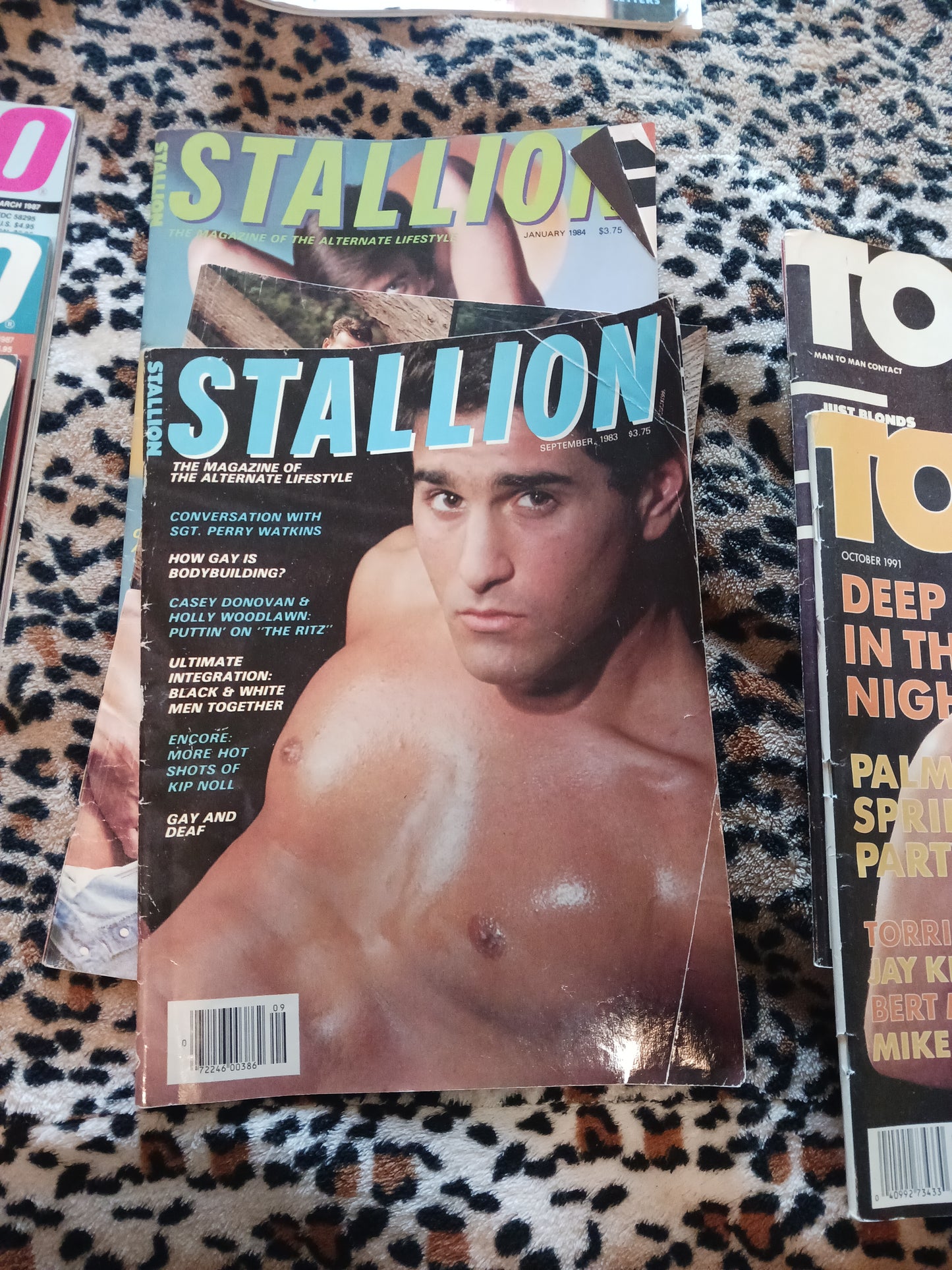Vintage 80's Gay Men's Erotica Magazines! Queer Magic Fundraiser