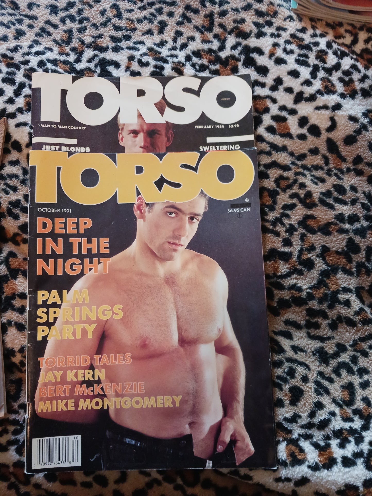 Vintage 80's Gay Men's Erotica Magazines! Queer Magic Fundraiser