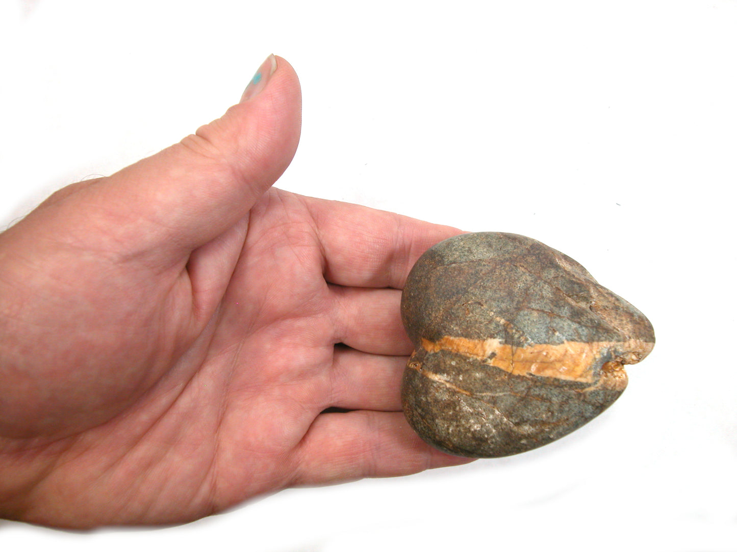 DVH Wolf Creek Radical Faerie Healed Heart Shark Palm Stone 66x56x24 (5338) Queer Magic