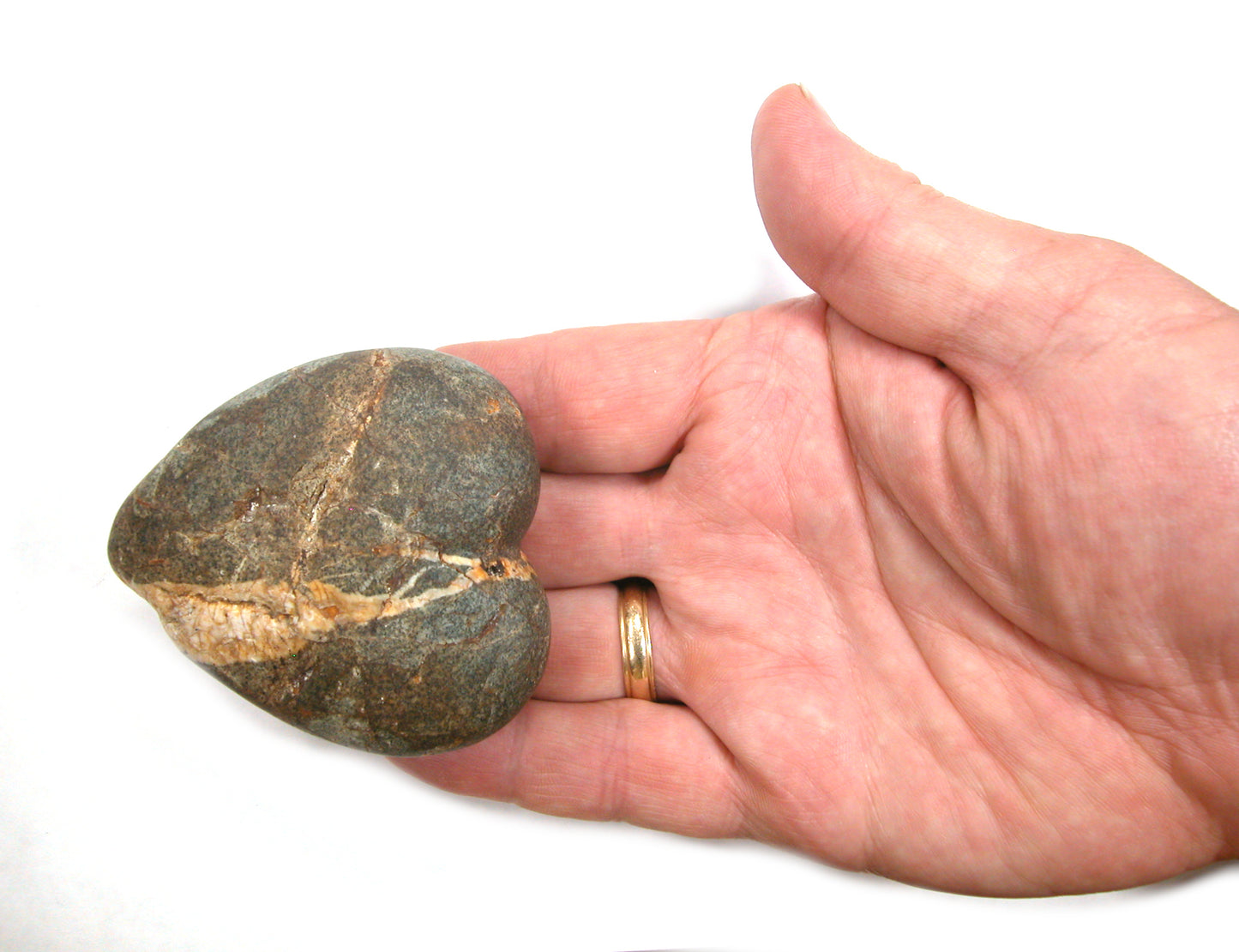 DVH Wolf Creek Radical Faerie Healed Heart Shark Palm Stone 66x56x24 (5338) Queer Magic